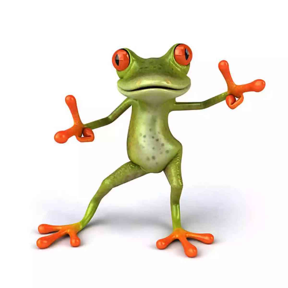 Immagine dell’articolo