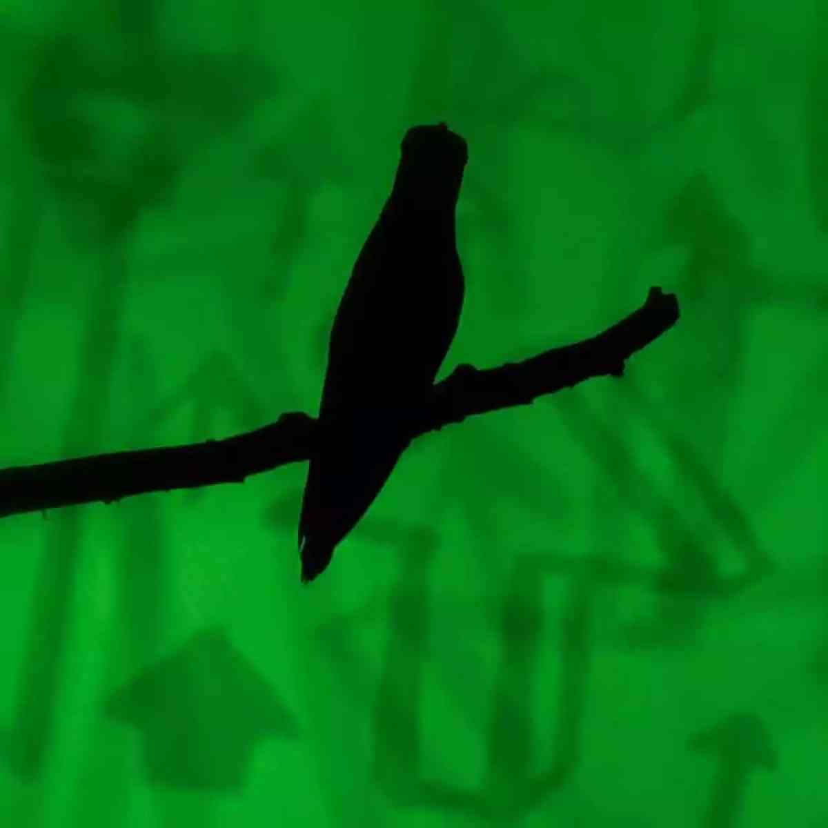 Ilustración del artículo