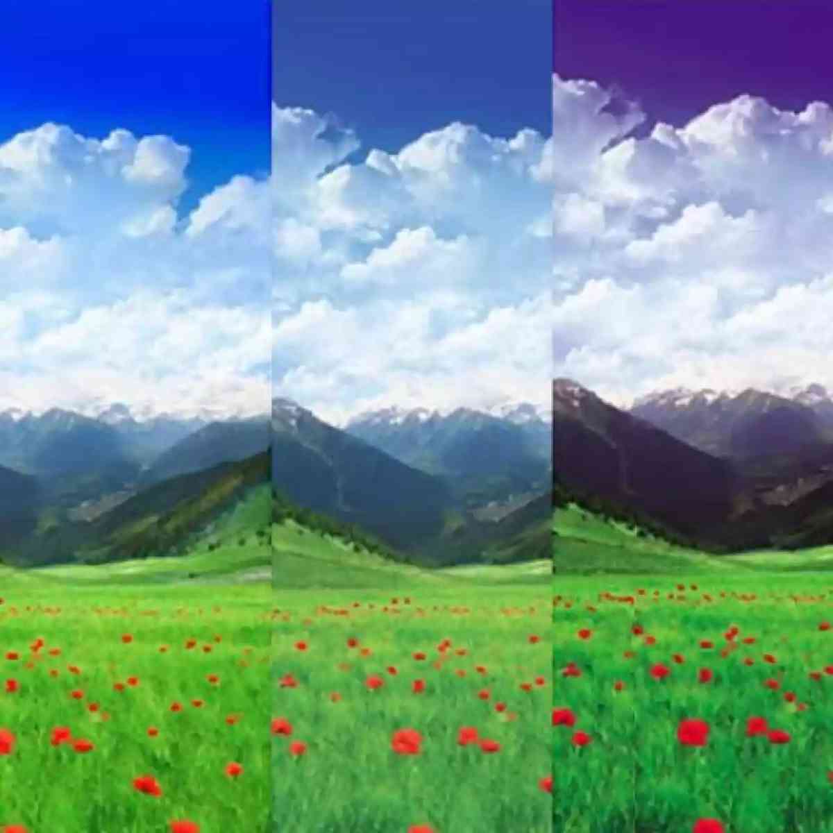 Ilustración para el artículo El color impreso: de la pantalla al papel