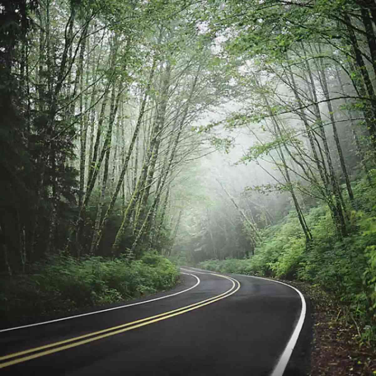 Ilustración para el artículo Gerencia vs. Liderazgo