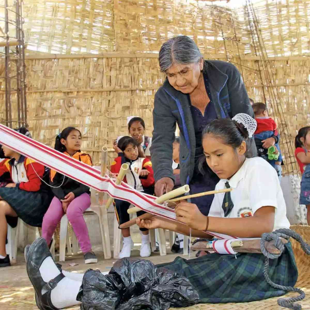 Immagine dell’articolo