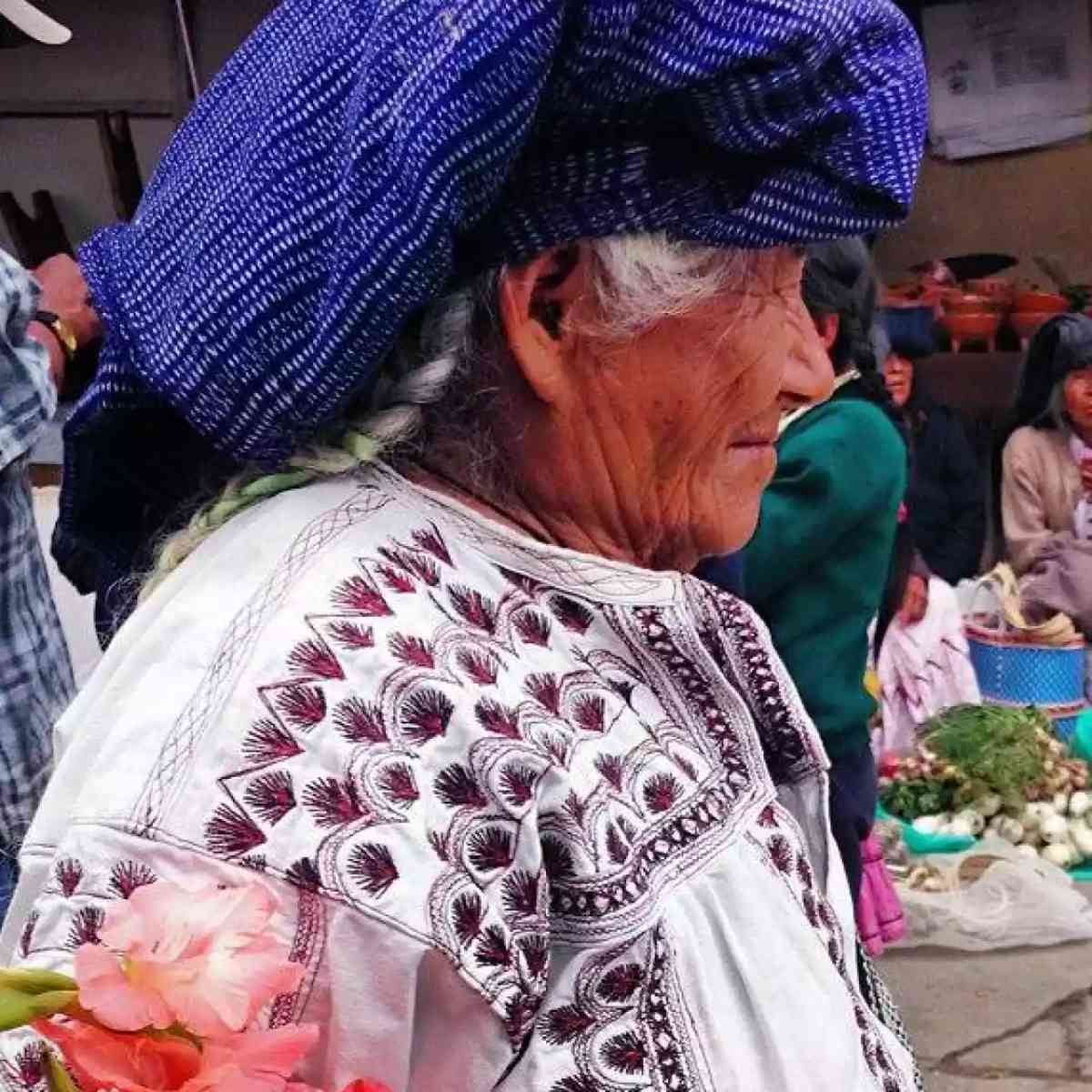 Ilustración del artículo