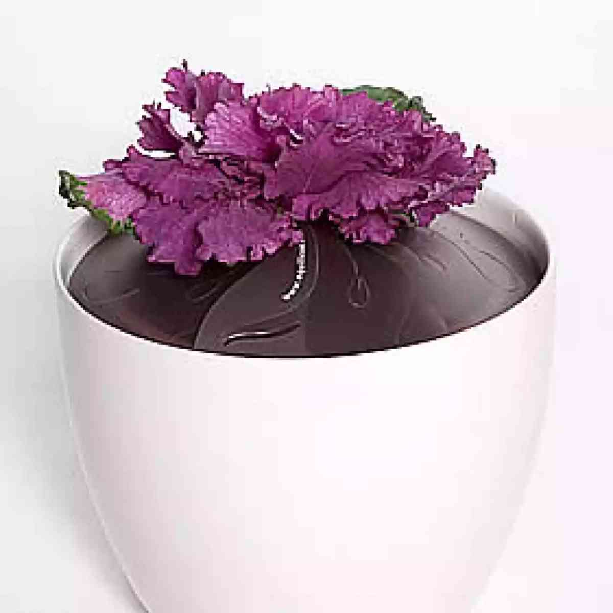 Ilustração do artigo