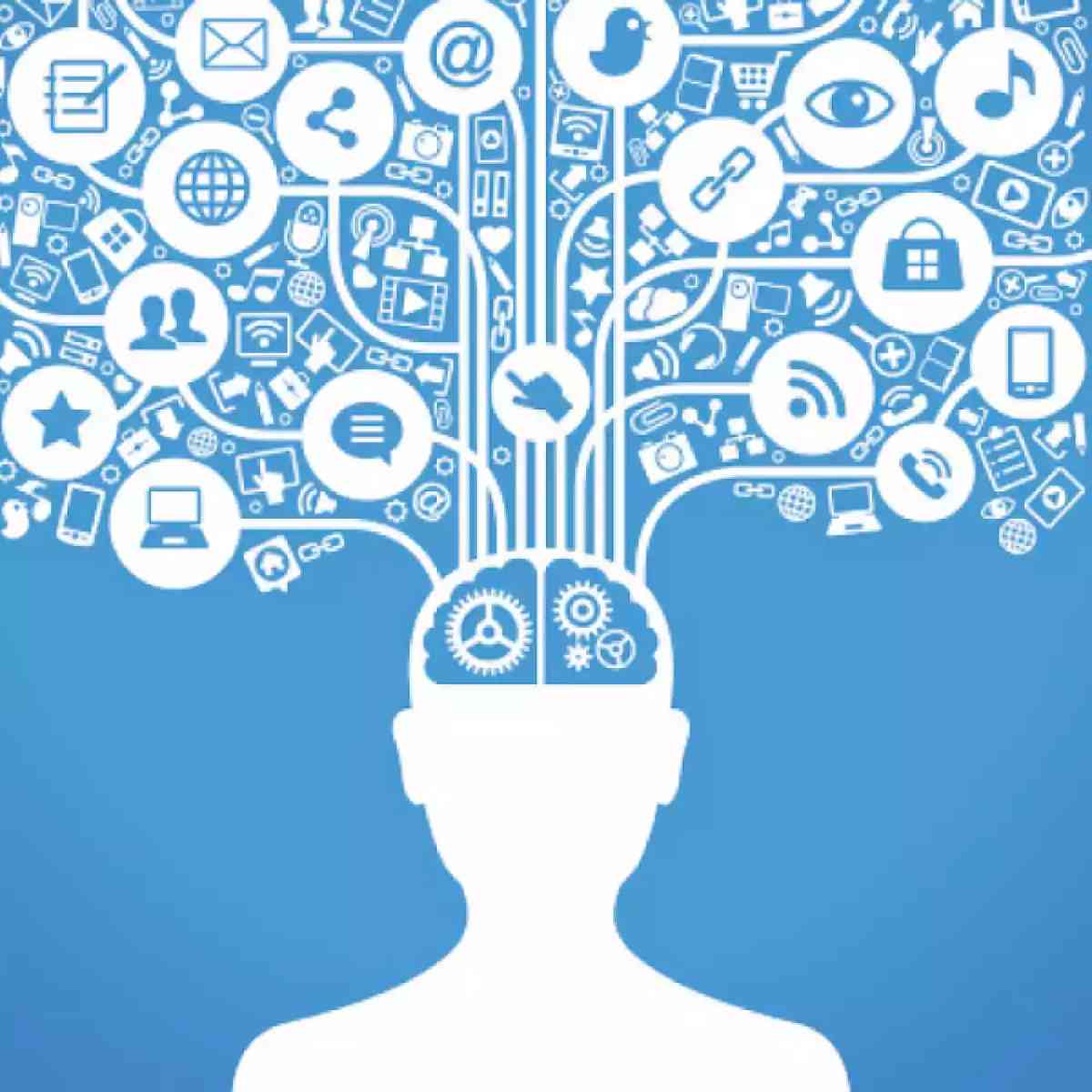 Ecosistemas 2.0: la sostenibilidad de un concepto en el mundo virtual