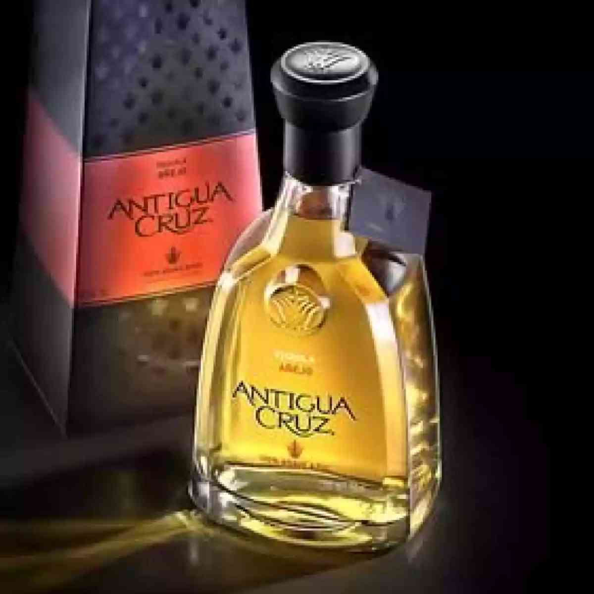 Immagine dell’articolo