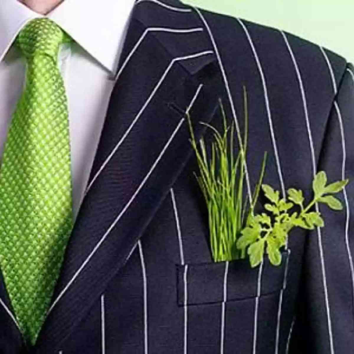 Ilustración del artículo