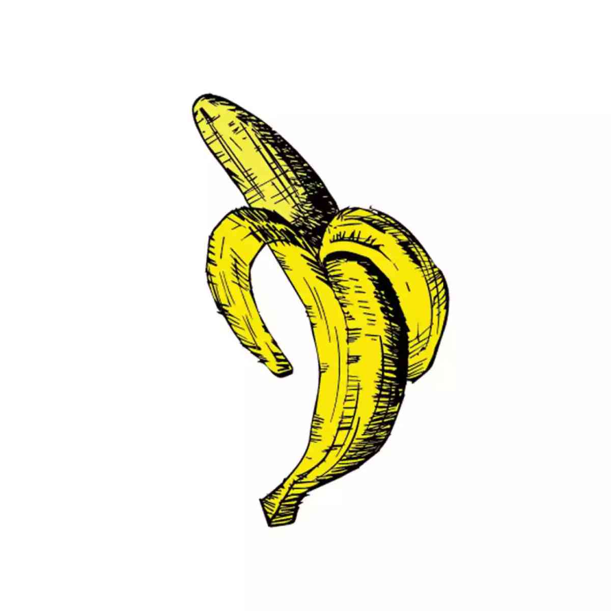 Ilustración del artículo