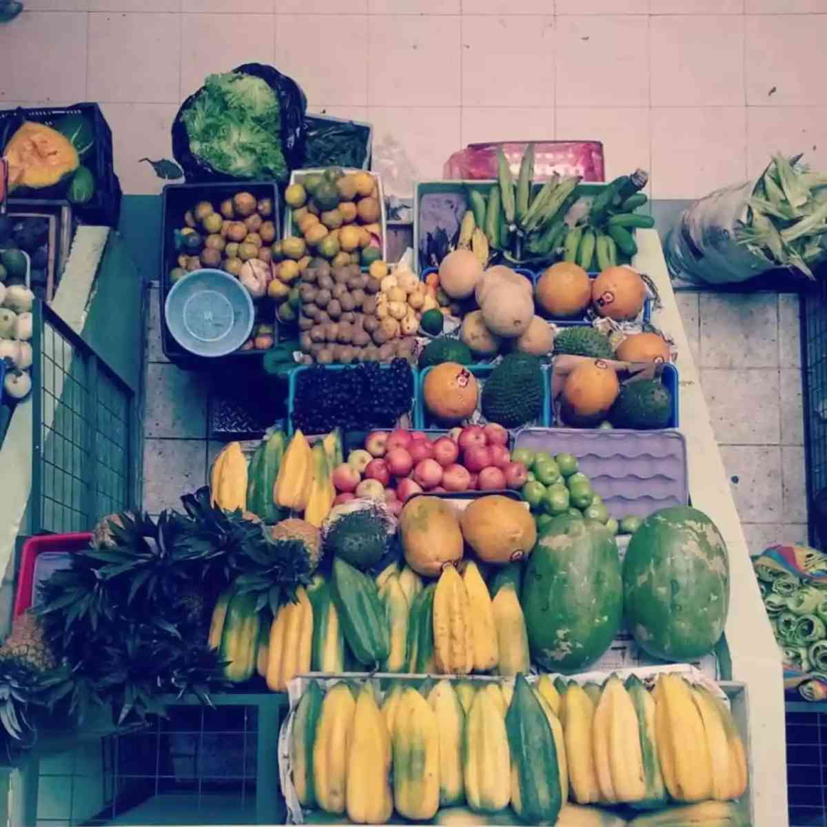 Ilustración del artículo