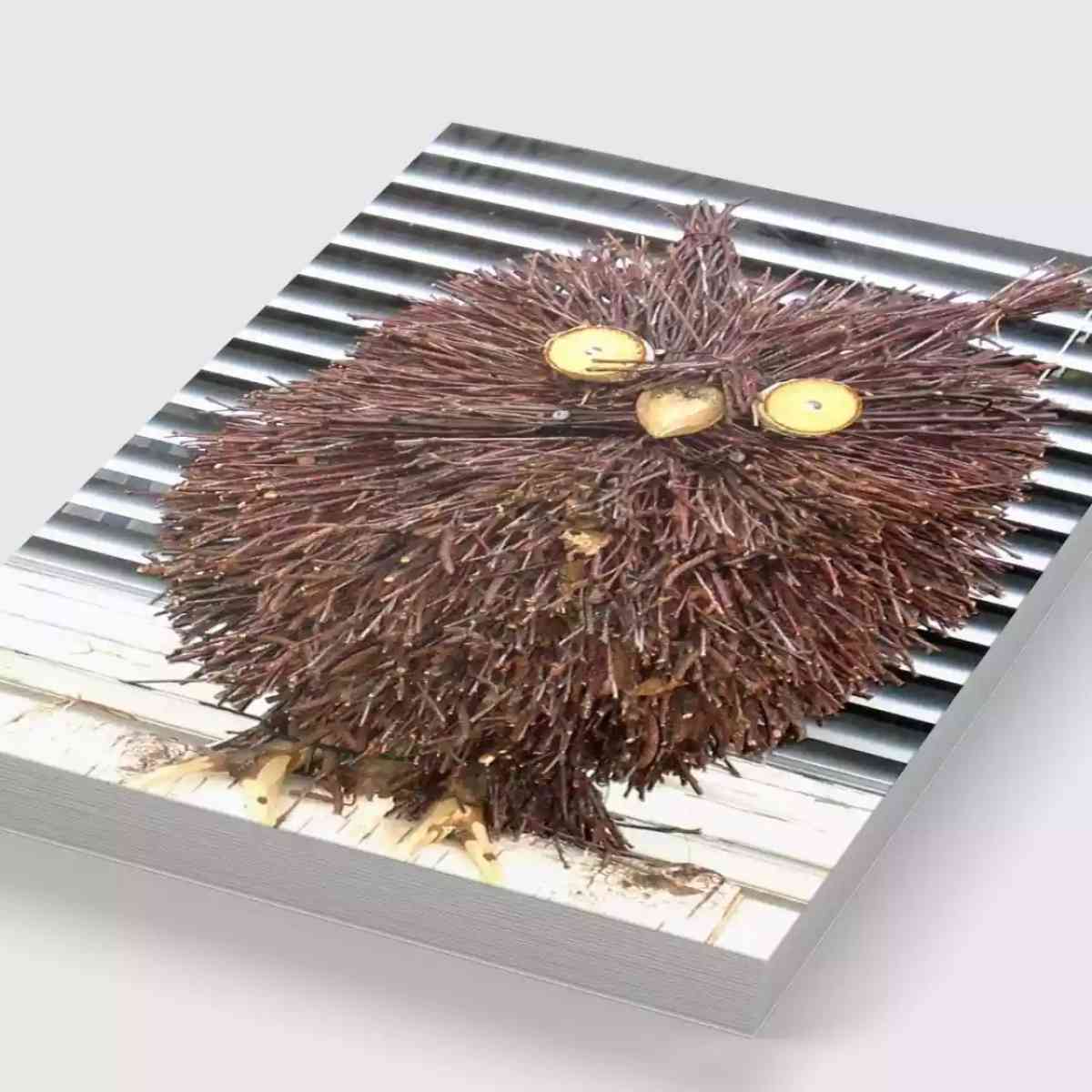 Aprender design sem design(er)?