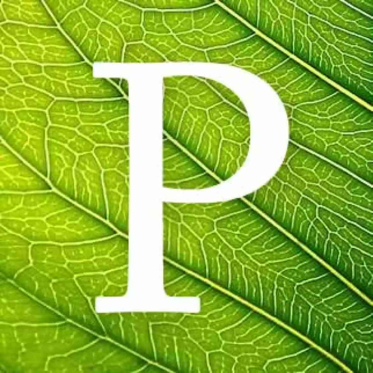 Immagine dell’articolo