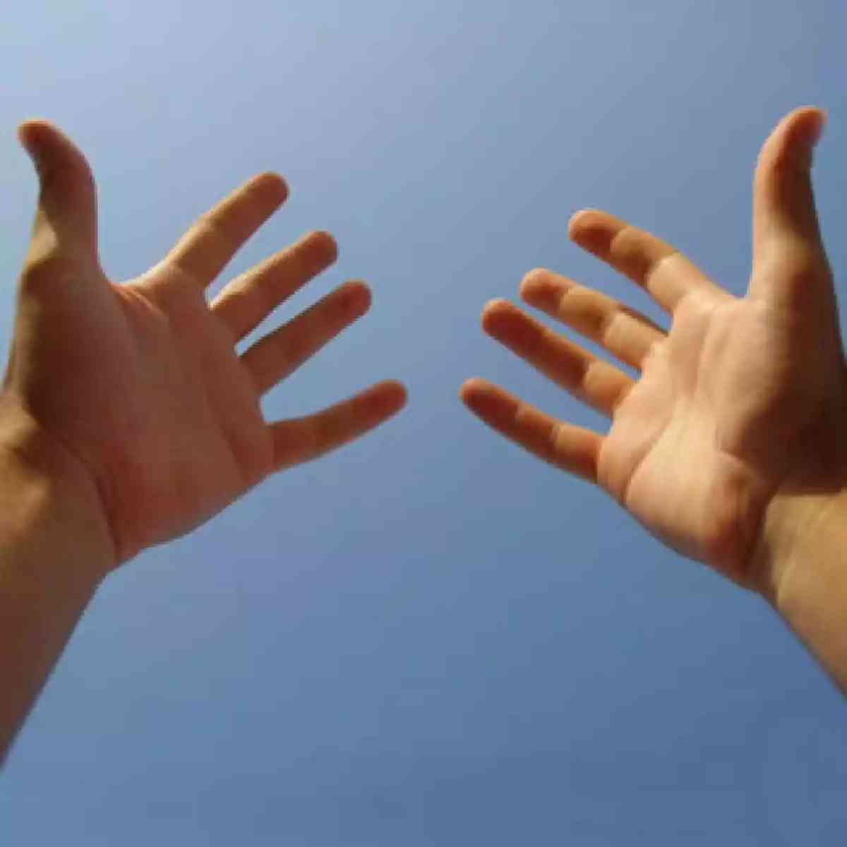 Ilustración para el artículo ¿Habrá mercado para los productos sustentables?