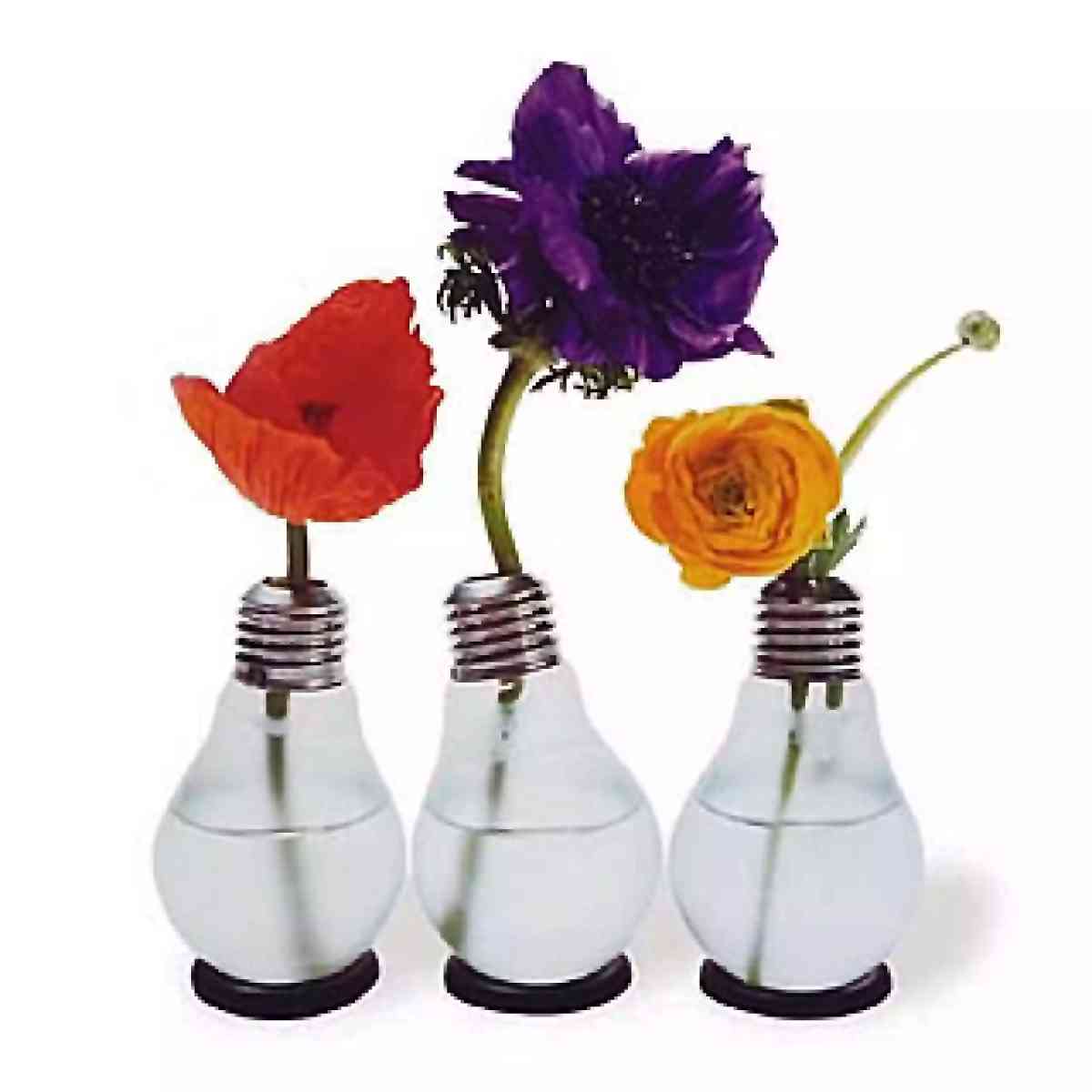 Ilustración para el artículo Proyectos florero