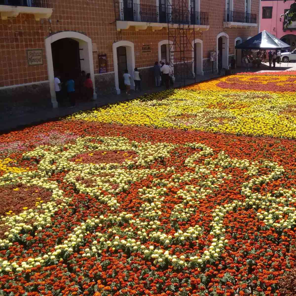 Illustration of the article