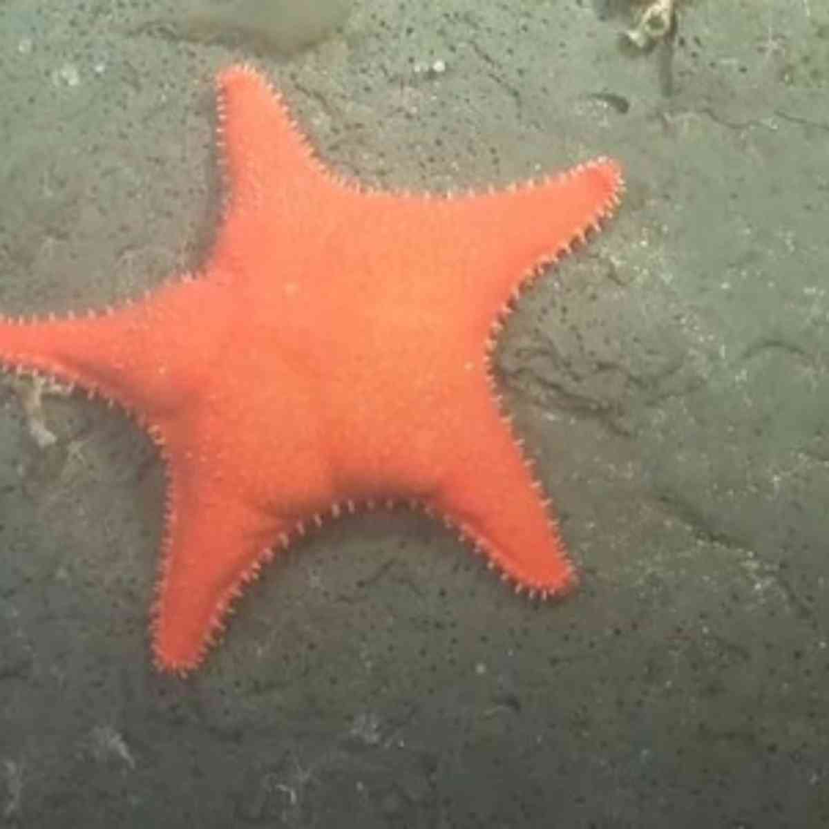 Immagine dell’articolo