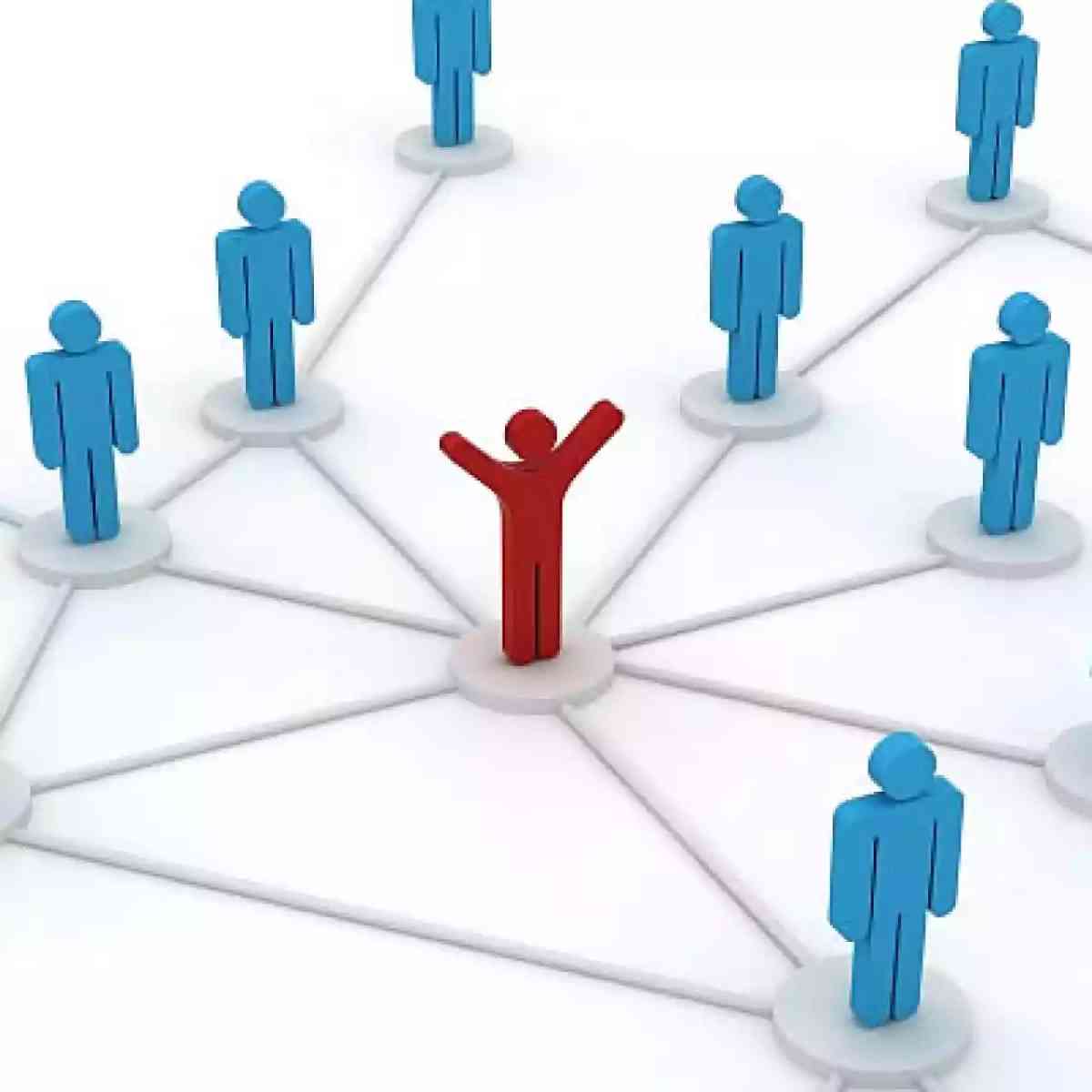 Diseñadores expertos ¿en qué?