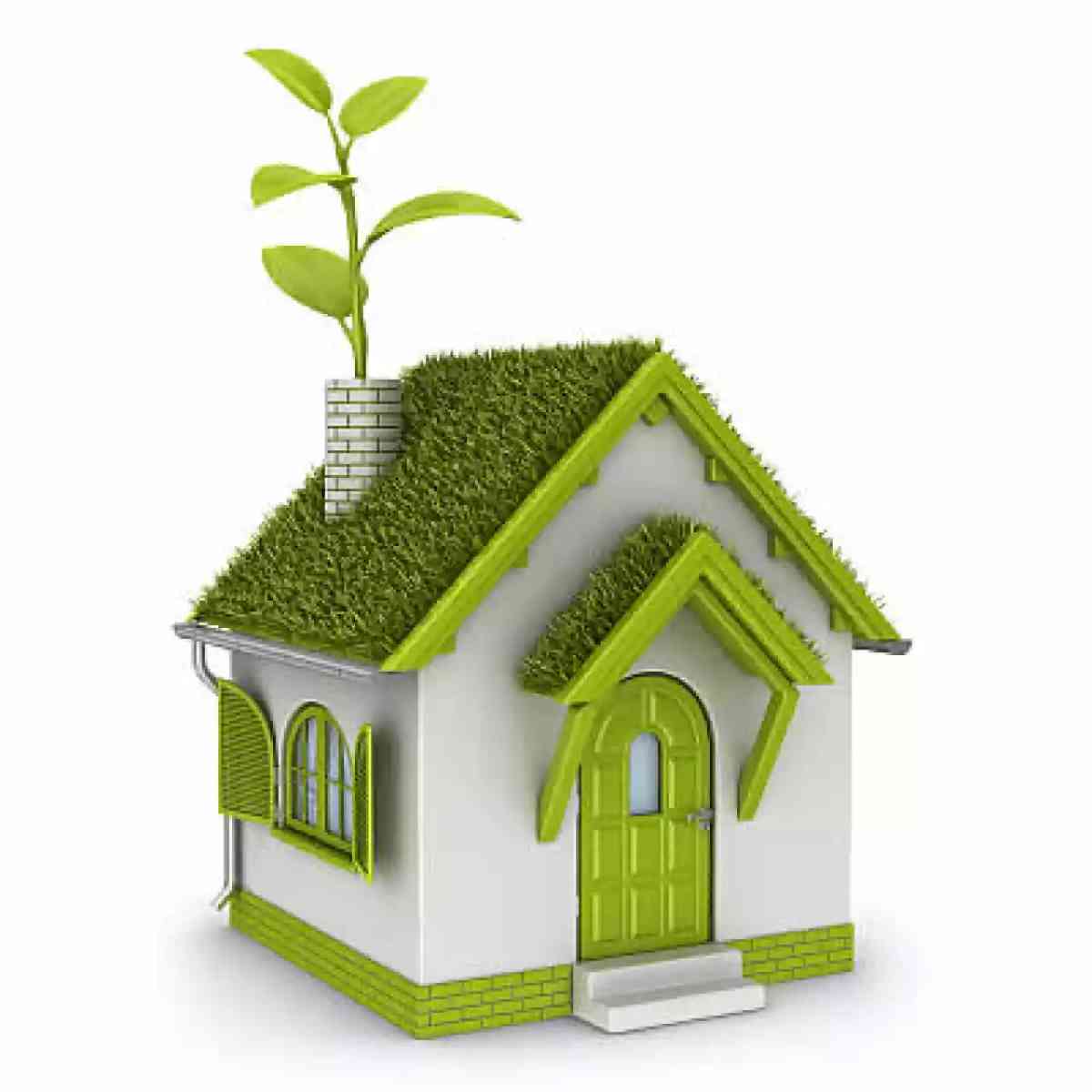 Ilustración del artículo