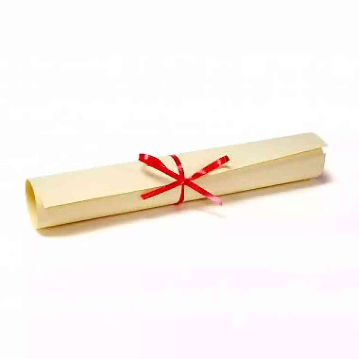 Ilustración del artículo