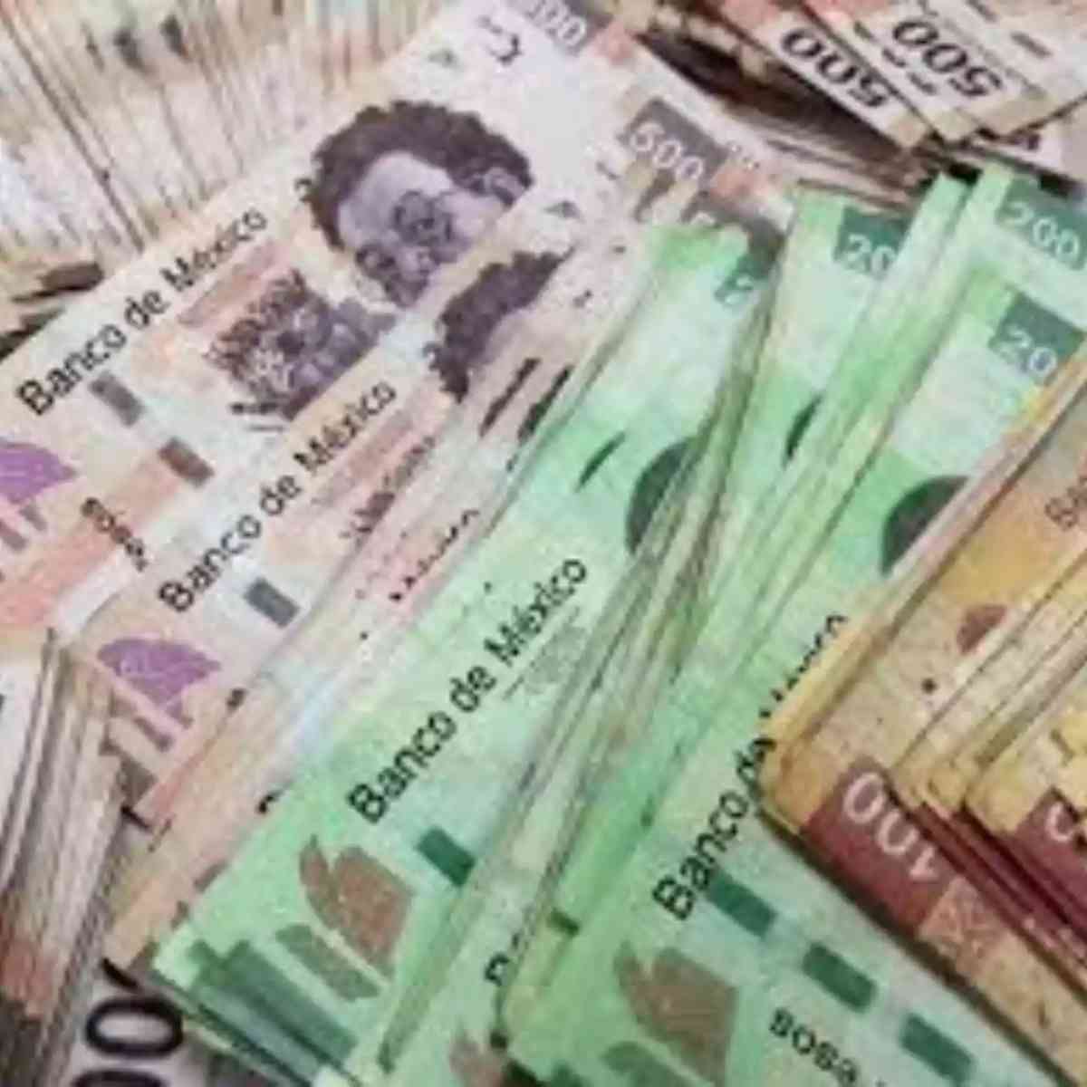 Immagine dell’articolo