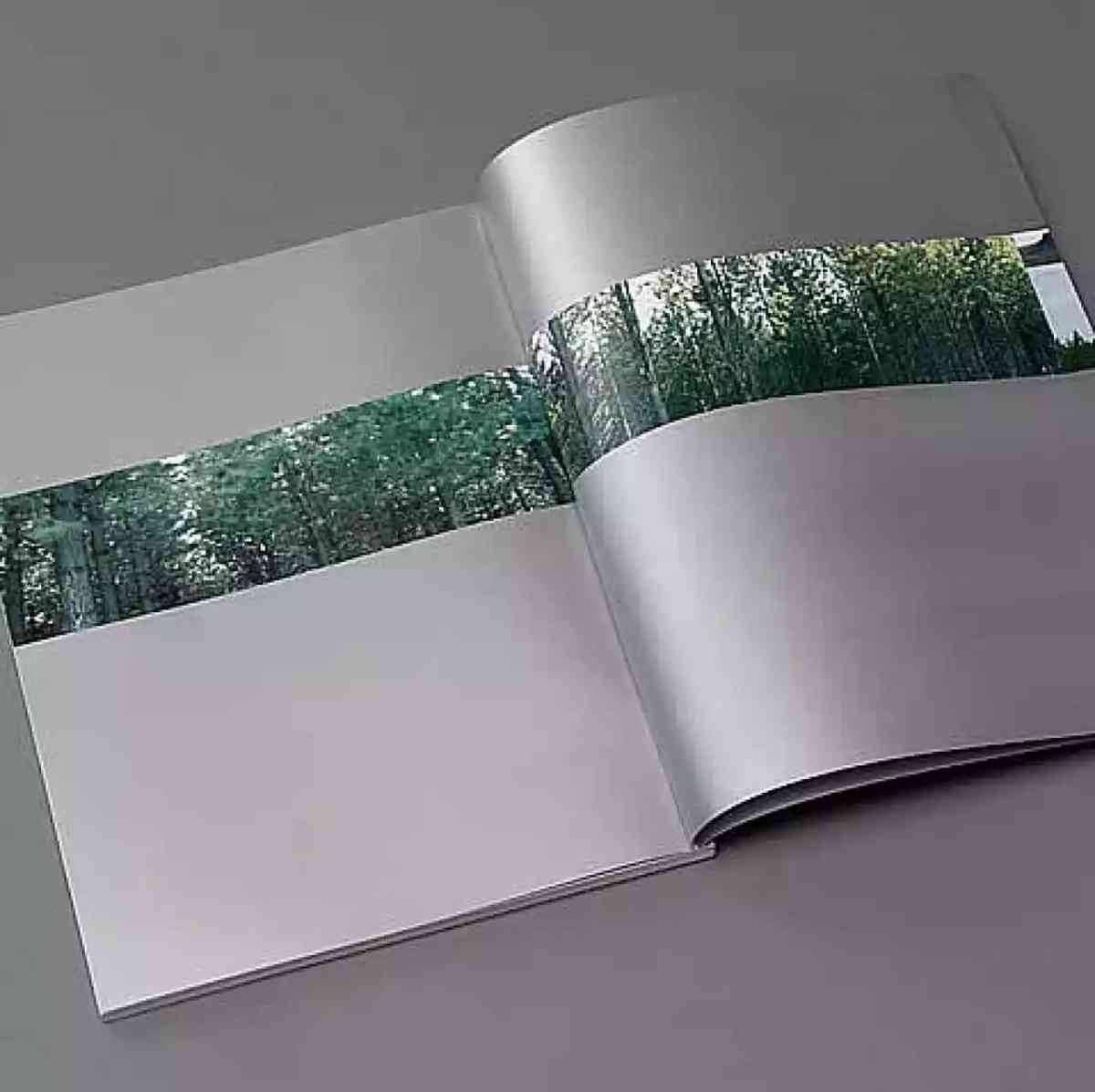 Ilustración para el artículo Publicaciones institucionales de YPF