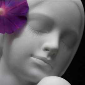 Avatar of Miguel Flores