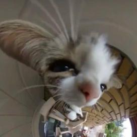 José Alonso Martínez Perfecto