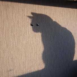 Raúl Ivan Espinoza Cruz