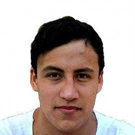 Ilustración del artículo