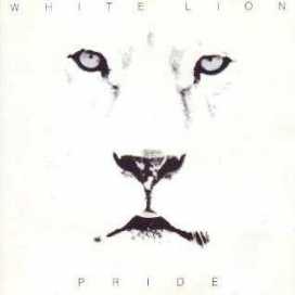 Miguel Angel Celis Serrano