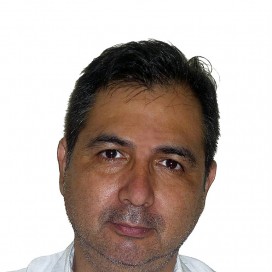 Ilustración del artículo