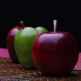 Alejandra Villanueva V.