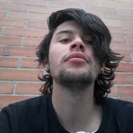 Avatar of Cɑmilɑ Pinto