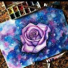 Andrea Padilla Arreola