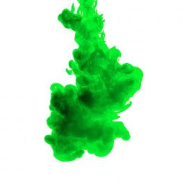 Mijalys Silva Silva Morales