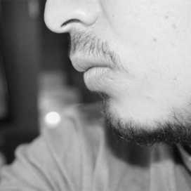 Avatar de David Alvarado