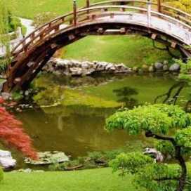 Aimee Alvidrez Gibbs