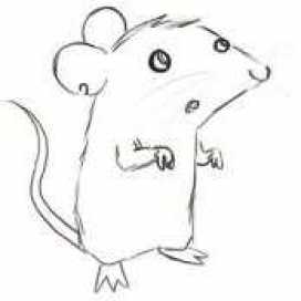 Leonardo Quezada Carrasco