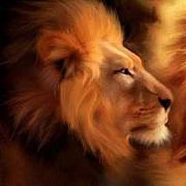 Occiuzzi Design Occiuzzi