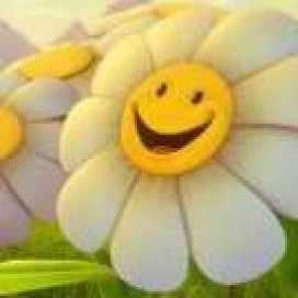 Cristal Gomez Moreno