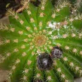 María Alejandra Sosa Ballesio