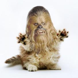 Carlos Kenny Hernández Rivera