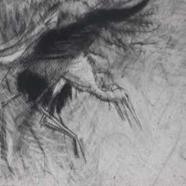 Jairoleonel Arzapalo Cruz