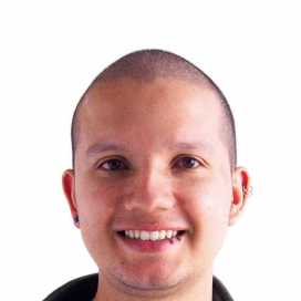 Ilustración del artículo