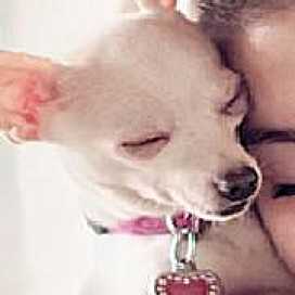 Eargot-Group El-Corazon