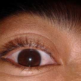 Rolando Diaz Chiñas