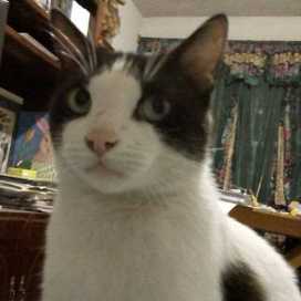 Karla Esther Fernández Vicente