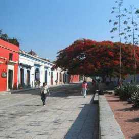 Fernando Ortiz Martinez