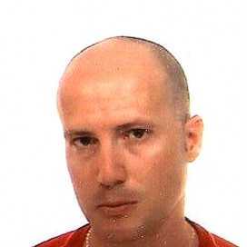 Ilustración del artículo