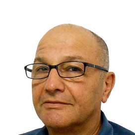 Ilustración del artículo